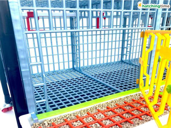 Klietka pre odchov hydiny CIMUKA GL40-03-2K – Obrázok 4