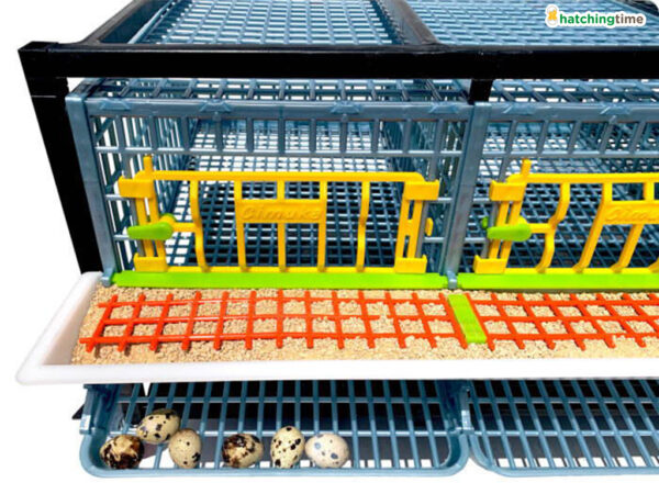 Klietka pre prepelice CIMUKA BYK-03-1K – Obrázok 4