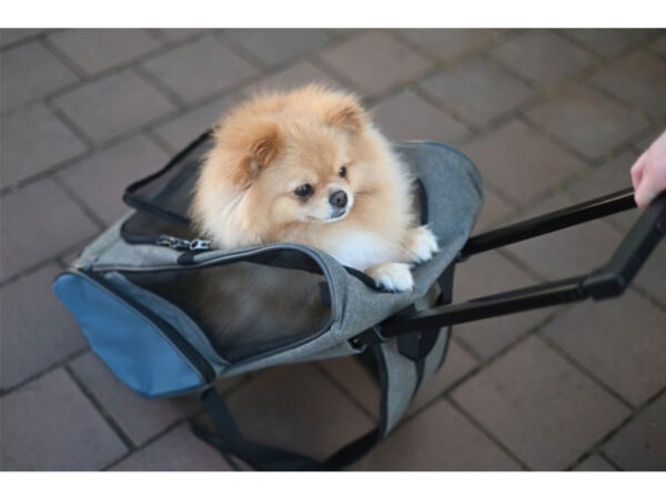 Cestovanie so psom, Mačky, Prepravky a tašky, Psy, Tašky a batohy pre psy, Tašky pre mačky - Cestovná taška na kolieskach pre psa, mačka KERBL VACATION 41x26x55 cm