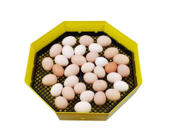 Hospodárske zvieratá, Liahne, Liahne Cleo - Liaheň na vajcia CLEO 5