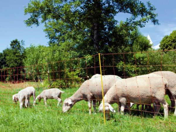 Elektrické ohradníky, Elektrické ohradníky pre ovce a kozy, Hospodárske zvieratá - Sieť pre elektrický ohradník pre ovce KERBL OVINET 90 cm x 50 m / 2 hroty, oranžová