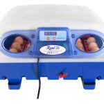 Liaheň na vajcia BOROTTO REAL 24