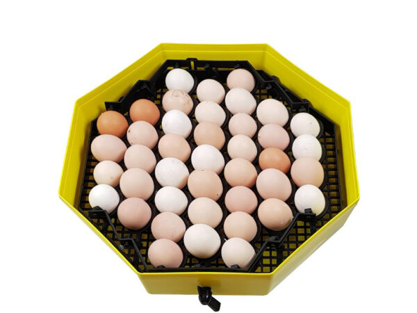 Liaheň na vajcia CLEO 5 DTH – Obrázok 2