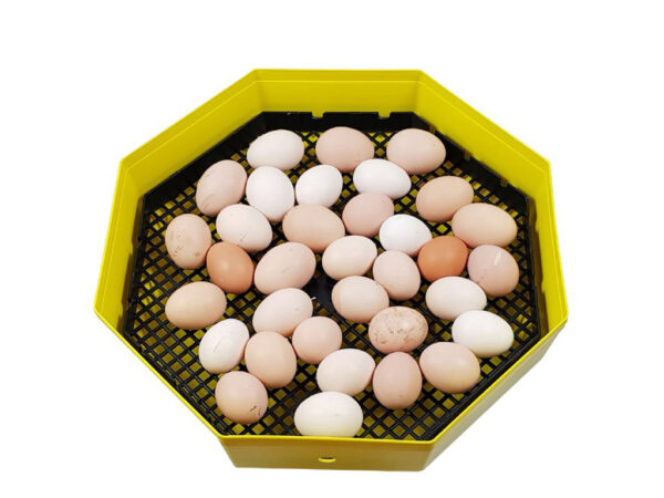 Hospodárske zvieratá, Liahne, Liahne Cleo - Liaheň na vajcia CLEO 5 DTH