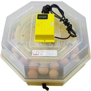 Liaheň na vajcia CLEO 5 DTH