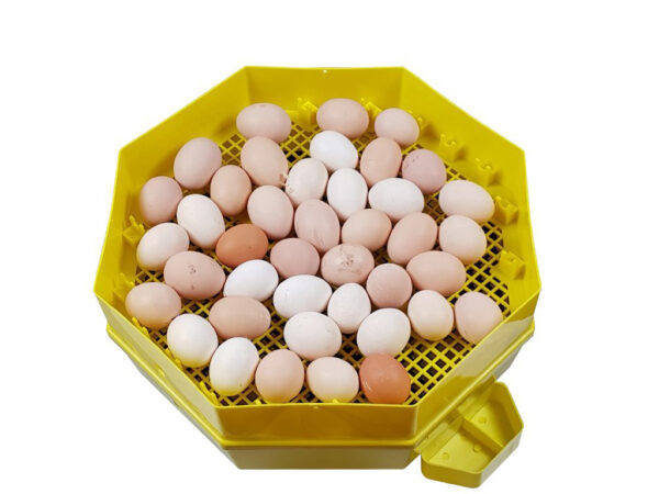 Liaheň na vajcia CLEO 5x2 DTH – Obrázok 4