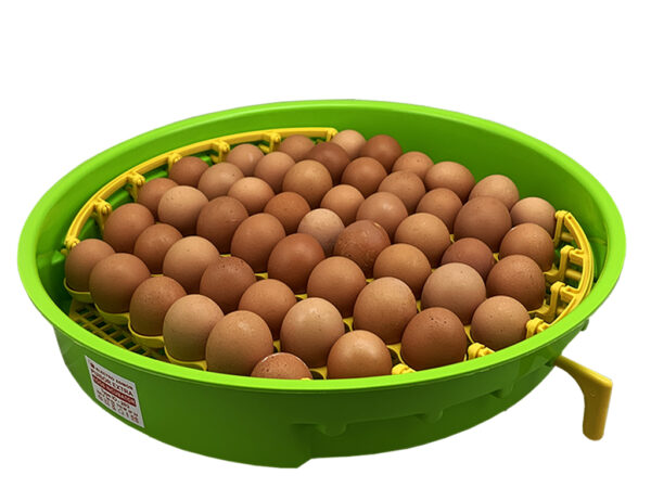 Liaheň na vajcia PUISOR IO-203 – Obrázok 2