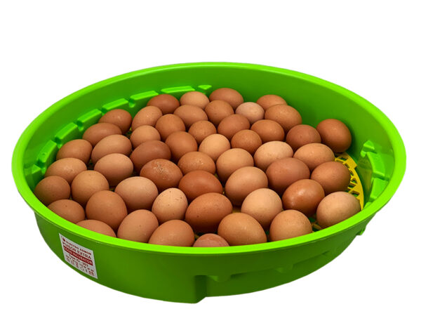 Liaheň na vajcia PUISOR IO-203 – Obrázok 4