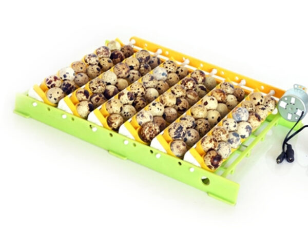 - Online Chovateľské Potreby a Krmivá