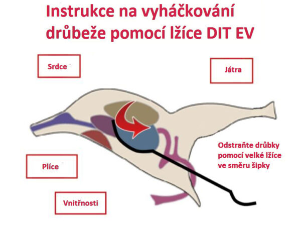 Nerezová lyžica k vyháčkovaniu vnútornosti SPIUMATRICE DIT EV – Obrázok 2