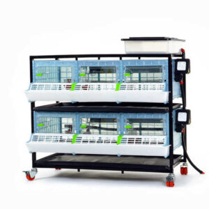 Odchovňa hydiny CIMUKA CB25-03-2K