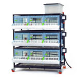 Odchovňa hydiny CIMUKA CB25-03-3K