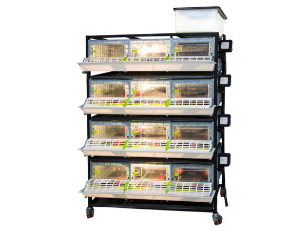 Odchovňa hydiny CIMUKA CB25-03-4K – Obrázok 2