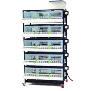 Odchovňa hydiny CIMUKA CB25-03-5K