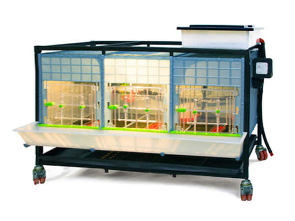 Odchovňa hydiny CIMUKA CB40-03-1K – Obrázok 2