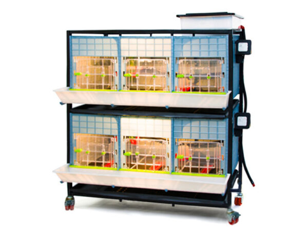 Odchovňa hydiny CIMUKA CB40-03-2K – Obrázok 2