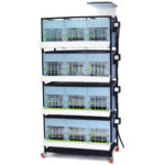 Odchovňa hydiny CIMUKA CB40-03-4K