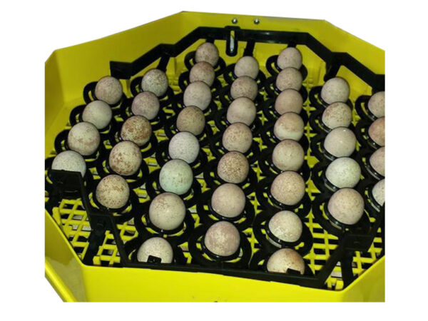 Otočný rošt na bažantie vajcia pre liahne CLEO BAŽANT – Obrázok 3