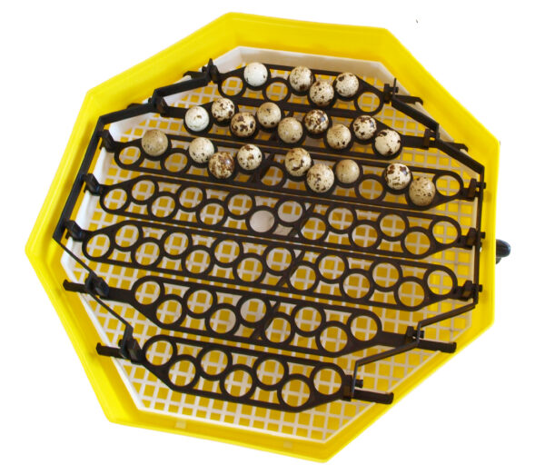 Otočný rošt na prepeličie vajcia pre liahne CLEO KŘEPELKA – Obrázok 3