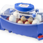 Automatická liaheň na vajcia BOROTTO LUMIA 8 AUTOMATIC