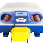 Automatická liaheň na vajcia BOROTTO REAL 24 AUTOMATIC