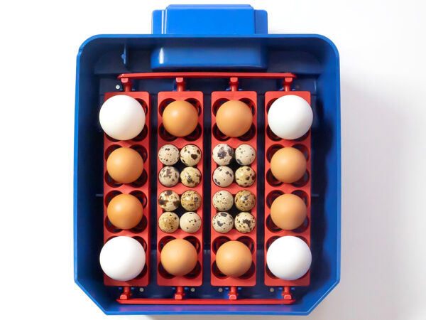 Plne automatická liaheň na vajcia BOROTTO LUMIA 16 EXPERT – Obrázok 2