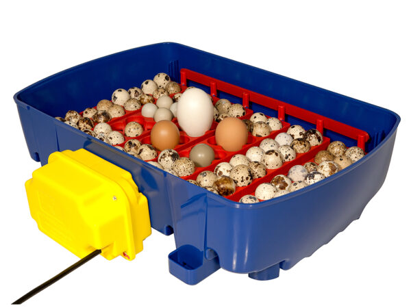 Plne automatická liaheň na vajcia BOROTTO REAL 24 EXPERT – Obrázok 2