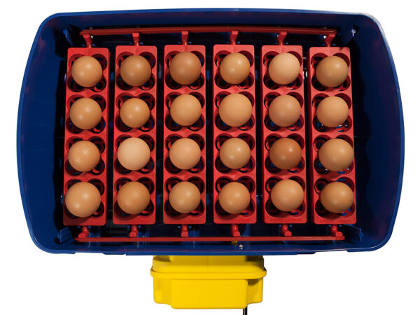 Hospodárske zvieratá, Liahne, Liahne Real - Plne automatická liaheň na vajcia BOROTTO REAL 24 EXPERT