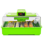 Automatická liaheň na vajcia CIMUKA PD30SH AUTOMATIC