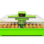 Automatická liaheň na vajcia CIMUKA PD60SH AUTOMATIC