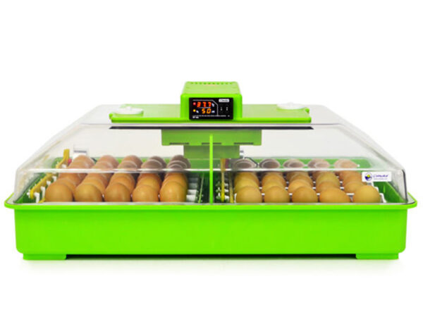 Automatická liaheň na vajcia CIMUKA PD60SH AUTOMATIC