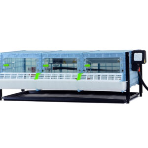 Prídavná odchovňa hydiny CIMUKA CB25-03-TA