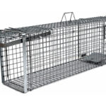 Profesionálna pasca na líšky