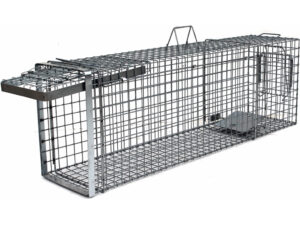 Profesionálna pasca na líšky