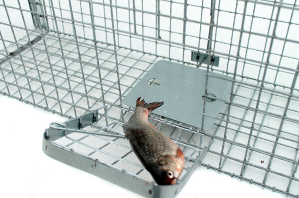 vydry a mačky TRAP ST118x34x34V2