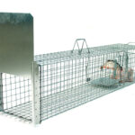 Profesionálna pasca na líšky