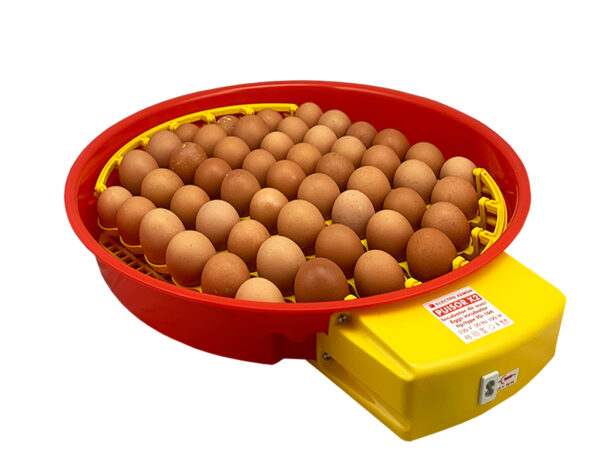 Automatická liaheň na vajcia PUISOR IO-104 AUTOMATIC – Obrázok 2