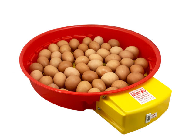 Automatická liaheň na vajcia PUISOR IO-104 AUTOMATIC – Obrázok 4