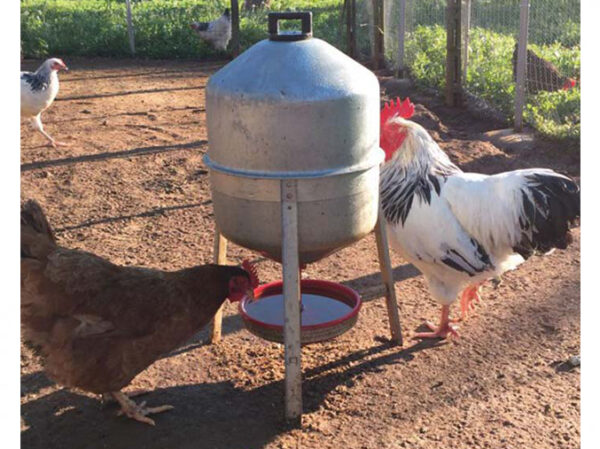 Barelová napájačka pre hydinu pozinkovaná CF 005.00 GIOVE - 30l – Obrázok 2