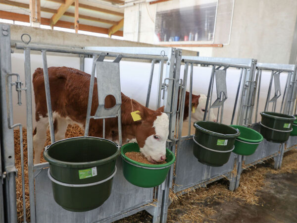 Univerzálna plastová misa na kŕmenie KERBL 14711 - 8 l, zelená – Obrázok 3