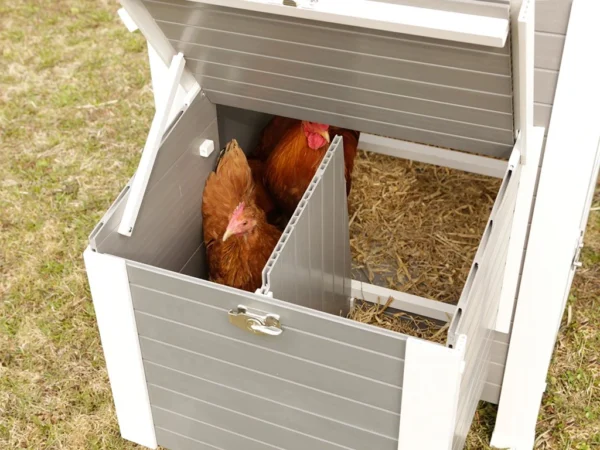 Kurín pre sliepky KERBL 81731 BARNEY – Obrázok 4