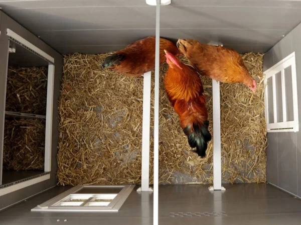 Kurín pre sliepky KERBL 81731 BARNEY – Obrázok 3