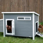 Kurín pre sliepky KERBL 81731 BARNEY