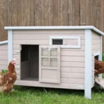 Kurín pre sliepky KERBL 81702 EMMA