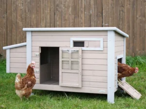 Kurín pre sliepky KERBL 81702 EMMA