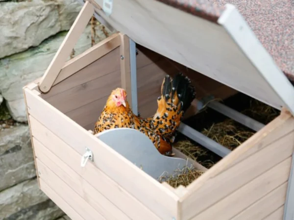 Kurín pre sliepky KERBL 81713 BONNY – Obrázok 4