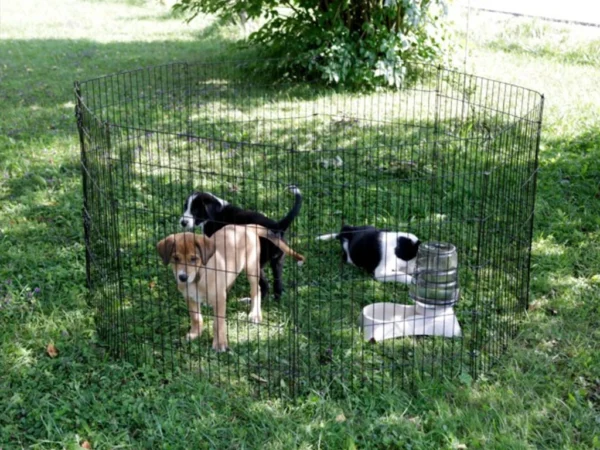 Výbeh pre hydinu, králiky a šteňatá osemstenný KERBL 81715, 57×78 cm