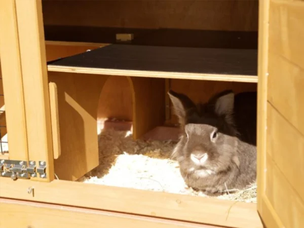 Králikáreň dvojposchodová KERBL 81719 APPARTMENT PRO – Obrázok 3