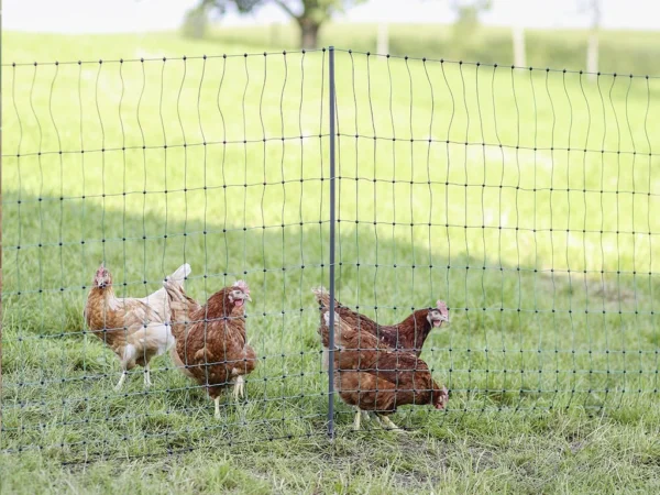 Nevodivá sieť pre hydinu KERBL 292411 PREMIUM, 122 cm x 50 m / 2 hroty