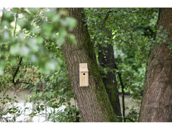 Búdka pre sýkorky, sada pre domácich majstrov KERBL 82959, 36 x 12 x 14 cm – Obrázok 4